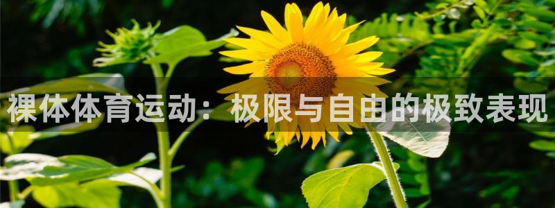 xc体育：裸体体育运动：极限与自由的极致表现