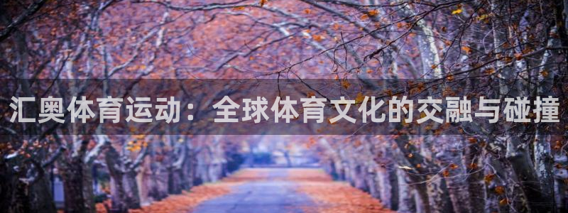 xc体育app官方网站：汇奥体育运动：全球体育文化的交融与碰撞
