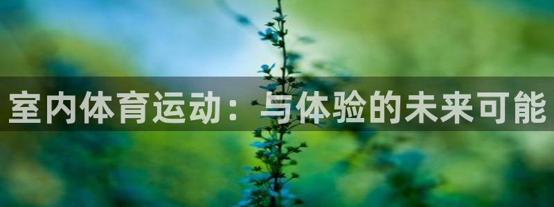 xc体育app官方网站：室内体育运动：与体验的未来可能