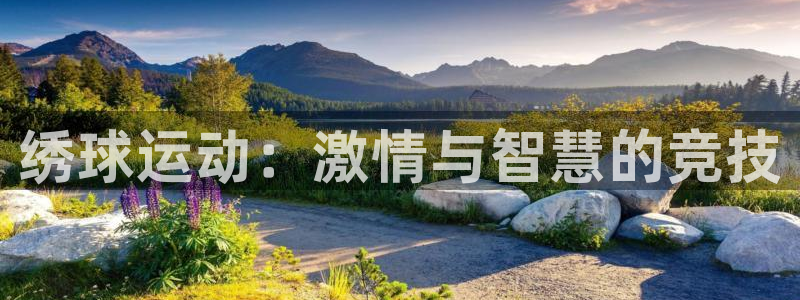 xc体育app官方网站：绣球运动：激情与智慧的竞技
