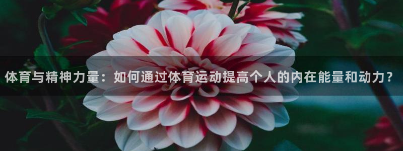 xc体育app官方网站：体育与精神力量：如何通过体育运动提高个人的内在能量和动力？