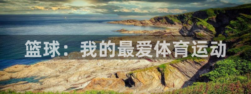 xc体育app官方网站：篮球：我的最爱体育运动