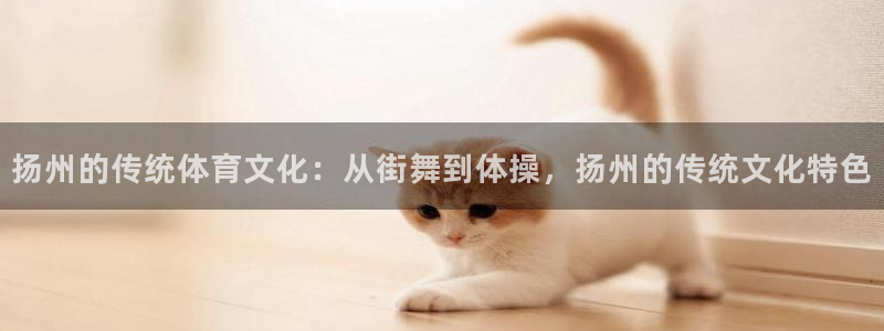 xc体育app官方网站：扬州的传统体育文化：从街舞到体操，扬州的传统文化特色
