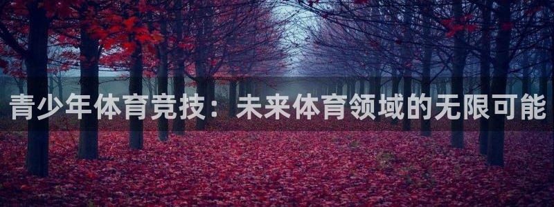 xc体育：青少年体育竞技：未来体育领域的无限可能