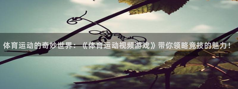 xc体育app官方网站：体育运动的奇妙世界：《体育运动视频游戏》带你领略竞技的魅力！