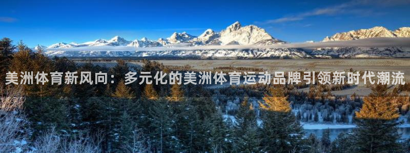 xc体育app官方网站：美洲体育新风向：多元化的美洲体育运动品牌引领新时代潮流