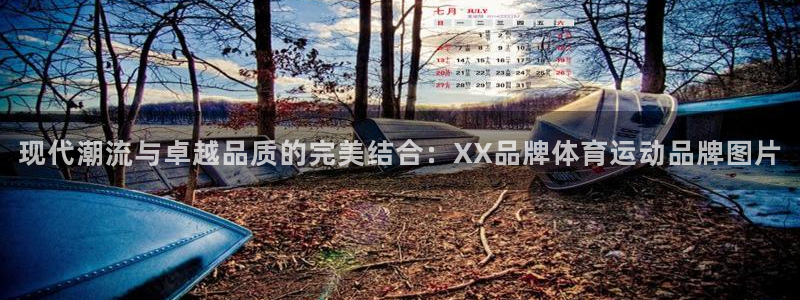 xc体育app官方网站：现代潮流与卓越品质的完美结合：XX品牌体育运动品牌图片