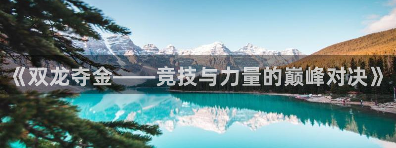 xc体育app官方网站：《双龙夺金——竞技与力量的巅峰对决》